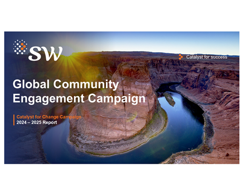 SW Global Community Engagement Campaign Report (2024-2025)
